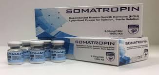 Maybe you would like to learn more about one of these? Ø³Ø¹Ø± ÙˆØ¯ÙˆØ§Ø¹ÙŠ Ø§Ø³ØªØ¹Ù…Ø§Ù„ Ø¯ÙˆØ§Ø¡ Ø³ÙˆÙ…Ø§ØªØ±ÙˆØ¨ÙŠÙ† Somatropin ÙˆØ£Ù‡Ù… Ø§Ù„ØªØ­Ø°ÙŠØ±Ø§Øª Ù…Ù‚Ø§Ù„