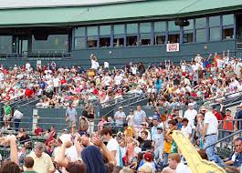 Myrtle Beach Pelicans Baseball Tickets Discount Tickets To