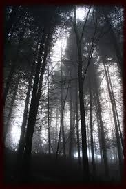 We did not find results for: Haunted Forest Wallpapers Pour Android Telechargez L Apk