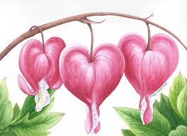 Love heart flowers wallpapers in format for free. Bleeding Heart Flowers Painting By Cindy Lenker