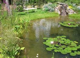 Wildlife Ponds Construction Norfolk Suffolk Cambridgeshire Pond Construction Natural Garden Pond