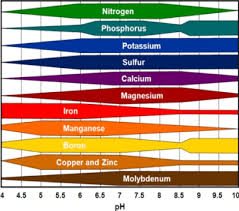 Source Balance Chart Of Micro And Macronutrient To Fight