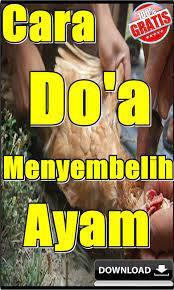 Tata Cara Dan Doa Menyembelih Ayam Menurut Islam For Android Apk Download