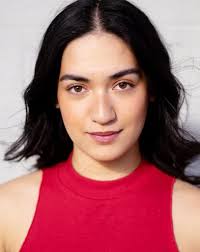 A Note from the Author of Cheeseheads! The Musical