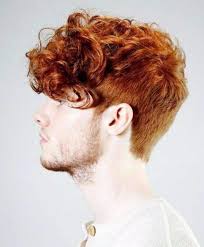 This hair type can be unruly and hard to tame most of the time. 45 Short Curly Hairstyles For Men With Fabulous Curls Men Hairstylist