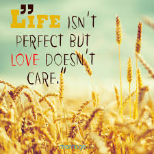 Life can only be understood backwards; Love Quotes Life Isn T Perfect But Love Doesn T Care