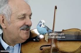 567 Peter Weil Stock Photos, High-Res Pictures, and Images