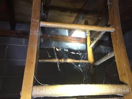 I was actually really excited to hear there was another spiderweb, but was soon disappointed that it was an apparent its likely nothing but it's something that caught my attention a long time ago. Spiders In A Basement And Garage