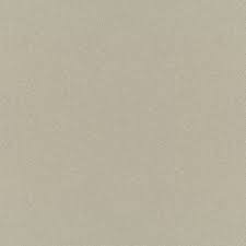 Image result for Light Beige 1988 Tracer