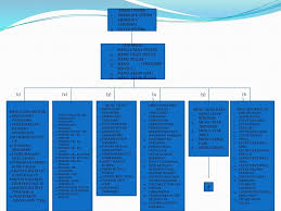 Software accurate 5 resmi & original | promo januari ada. Keelompok 4 Leni Rusilawati Alvionita Jamal Zulkifli Intan C Tyas Laili A Yunina W Ppt Download