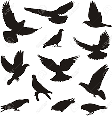 Http Previews 123rf Com Images Elvil Elvil1304 Elvil130400001 18866285 Silhouettes Of Pigeons Stock Vector Tattoo Bir Birds Flying Flying Tattoo Birds Tattoo