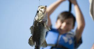 We did not find results for: Find Places To Fish And Boat Near You