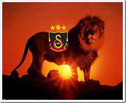 Dalgalansın kırmızı, sarı bayrağın, dalgalansın, sana fedadır canım, tarih yazdı tarih, her bir yaprağın, aslansın sen aslan, galatasaray. Aslan Galatasaray Home Facebook