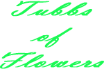 In the catalan countries, this celebration includes folk dancing, music, flowers. Corpus Christi Florist Flower Delivery By Tubbs Of Flowers