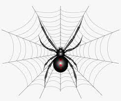 Large collections of hd transparent black widow png images for free download. This Is A Vector Illustration Of A Black Widow Spider Spider Web Png Image Transparent Png Free Download On Seekpng