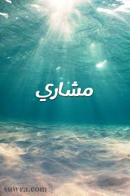 صور اسم مشاري صورة