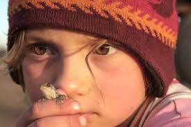 FW007: Auf der Suche nach dem Schneekind und den Träumen. Im Gespräch mit  Markus Blum › Freiheitenwelt