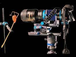 Extreme Macro Photography With Nikon Z7 And 105mm F Macrolens On A Autom Extreme Macro Photography Best Digital Camera Macro Photography