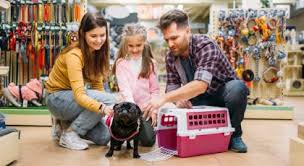 Batteries plus bulbs, was the first organization to respond to the evolving needs of the replacement battery market. Top Pet Shops In Abu Dhabi Petshop Pet Shack More Mybayut