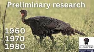 Legends of turkey research