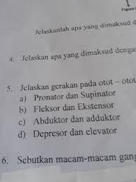 Otot adalah bagian tubuh yang sangat berguna dalam gerakan manusia setiap hari seperti gerakan berjalan, berolahraga atau menari. Jelaskan Gerakan Pada Otot Otot Diatas Brainly Co Id