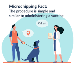Plaza pet clinic in winchester va. Plaza Pet Clinic Home Facebook