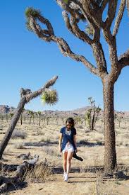 Mentahan logo esports hd 7 mentahan logo racing grand prix. Appreciating Joshua Tree Trend Envy
