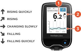 The Freestyle Libre Reader Freestyle Blood Glucose Meters