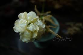instagram 上的賴宛琪 花毛茛 最愛這種仙氣飄飄的花 威化紙花 花毛茛 小屁孩在旁邊玩吃雞 我就只能作作花了 instagram plants