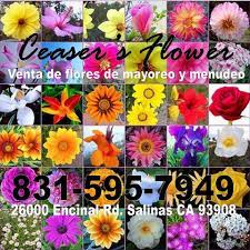 We offer same day flower delivery when you order by 12:00 pm local salinas time monday through friday and 11:00 am on saturday. Ceaser S Flower Home Facebook