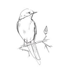 Pencil sketch is a form of free hand drawing that doesn't take a lot of time to be completed if compared to the other form of arts. Nature Pencil Sketch Vector Images Over 9 900