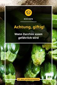 Achtung Giftig Wann Zucchini Essen Gefahrlich Wird Essen Obst Und Gemuse Zucchini
