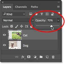 Add black to a layer mask to conceal Photoshop Layer Mask Basics For Beginners