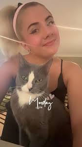 Hello! I am in search of a rental and if anyone can point me in the right  direction that would be greatly appreciated! * Admin please let me know or  take this