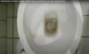 Shop high efficiency toilets online Reinigen Von Toilette Einfaches Reinigen Der Toilette Und Sie Wieder Weiss Bekommen Handwerker Ratgeber