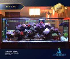 Galeri Desain Aquarium Air Laut Aquarium Air Lautan