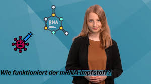 Der einsatz von rna in impfstoffen ist ein recht junges forschungsgebiet. Fuzo Explains Wie Funktioniert Die Mrna Impfung Youtube
