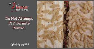A better solution to a do it yourself termite extermination process is to use poisoned termite baits. Do Not Attempt Diy Termite Control