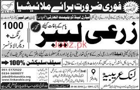 To update our customers and friends about. Agriculture Labors Job In Malaysia 2021 Job Advertisement Pakistan