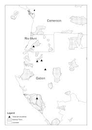 Image result for Tridactyle tridactylites