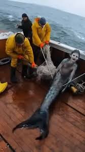 Mermaid Real Life 1990