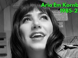 Fundraiser for Timothy Kornblum by David Piccolo : In Loving Memory of Aria  Em Kornblum