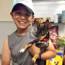 Maybe you would like to learn more about one of these? Pet Pantry The Rescue Train