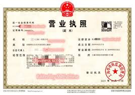 5 In 1 Business Registration Certificate Smeschina Com