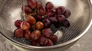 How To Protect Grapes From Insects - Quora