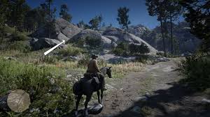 From right outside the entrance to the ceramic manor, you can go north to a seemingly dead end. How To Solve The Strange Statues Puzzle In Red Dead Redemption 2 Shacknews