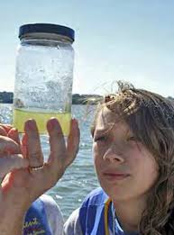 WISCONSIN ENVIRONMENTAL EDUCATION BOARD