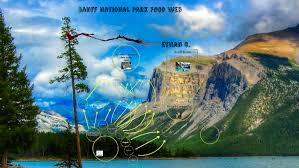 Banff National Park Food Web By John Adams On Prezi