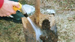 Check spelling or type a new query. Clean Sharp Tools Work Better Finegardening