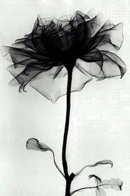 Epingle Par Marie Stuart Sur I Love It Tatouage Idees De Tatouages Et Tatouage Noir